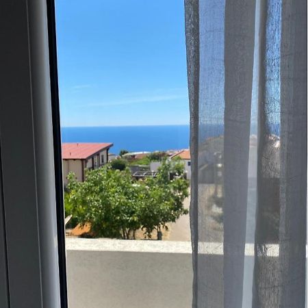 Apartments Wild Beauty - Krimovica ブドヴァ エクステリア 写真